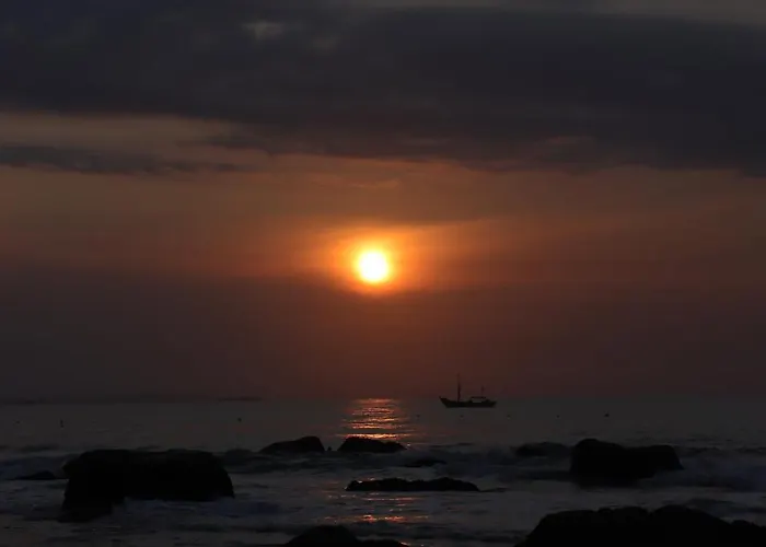 Mui Da *